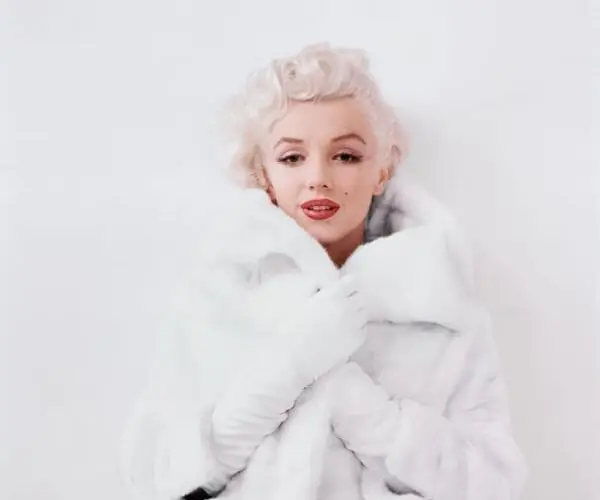 The-White-Fur-Sitting