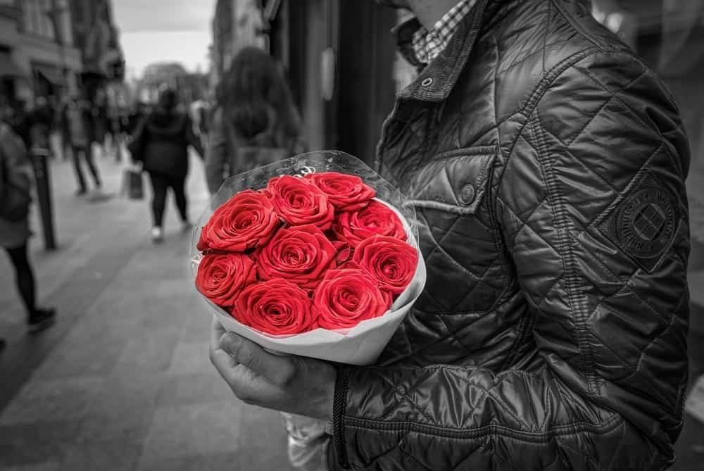 Red Roses