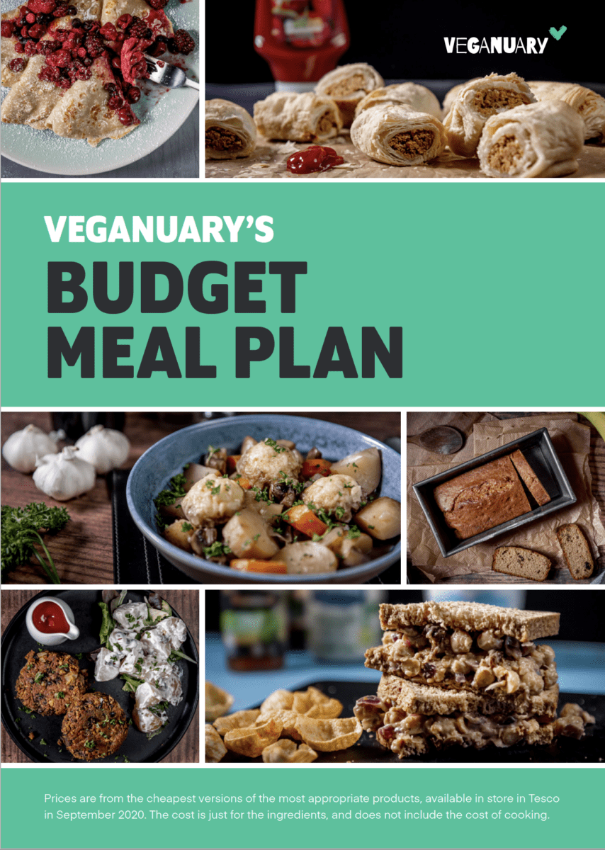 Veganuary Budget Meal Plan