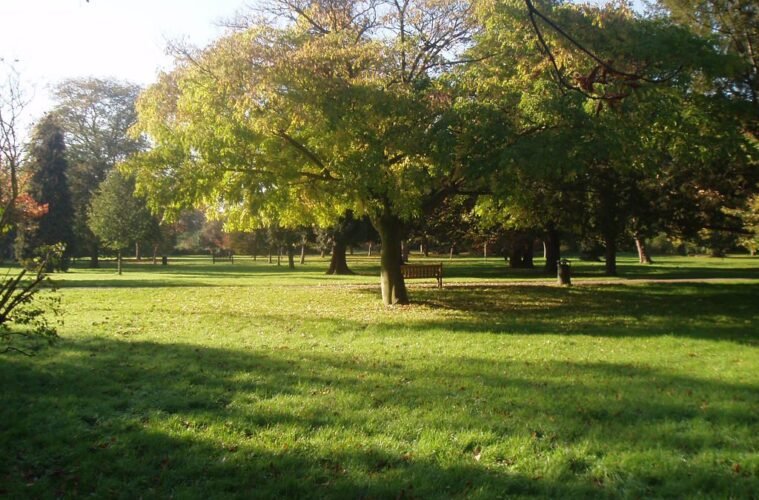 Hampton Court Park Wiki