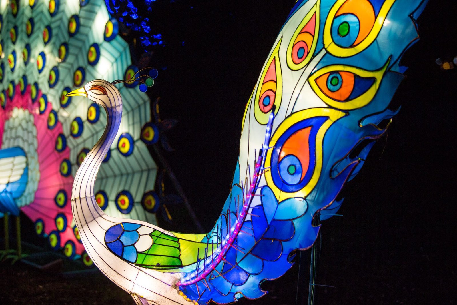 magical-Lantern-Festival-BIRD